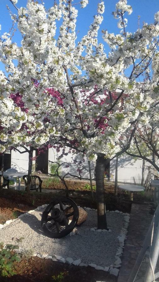 Apartman Ivona Malinska Luaran gambar